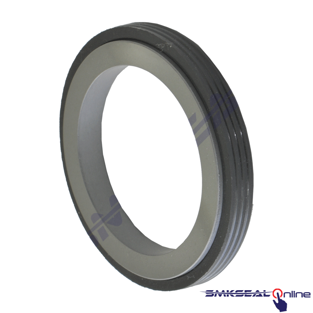 G60-038-S/V - SABİT ELEMAN SİC/VİT